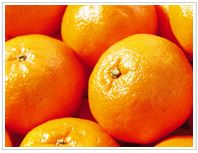 Mandarin oranges-packing