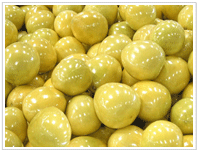 pomelo-packing