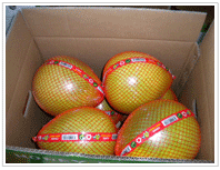 shatian pomelo-packing