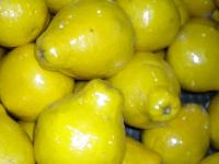 shatian pomelo