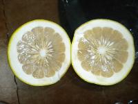shatian pomelo