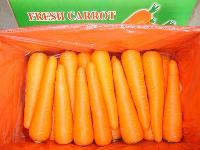 carrot