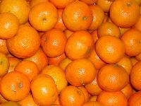 mandarin orange