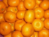 mandarin orange