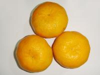 mandarin orange