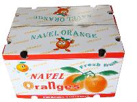 navel oranges