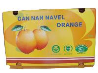 navel oranges