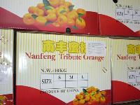 shatang orange